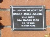 image of grave number 620243